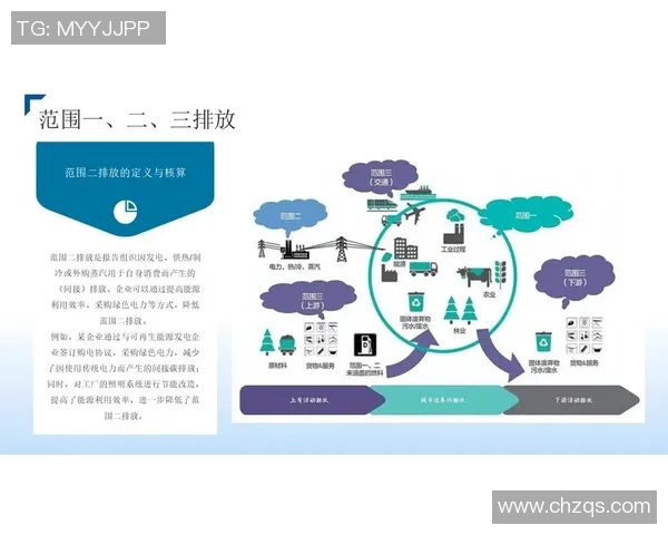 对话环保项目负责人探讨碳中和承诺的具体实施路径与挑战